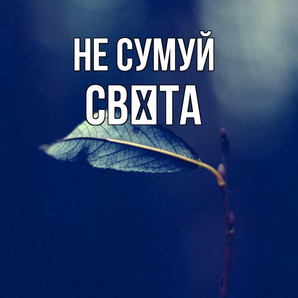 Открытка на каждый день з підписом, Свєта Не сумуй растение Прикольна листівка з побажанням онлайн скачати безкоштовно 