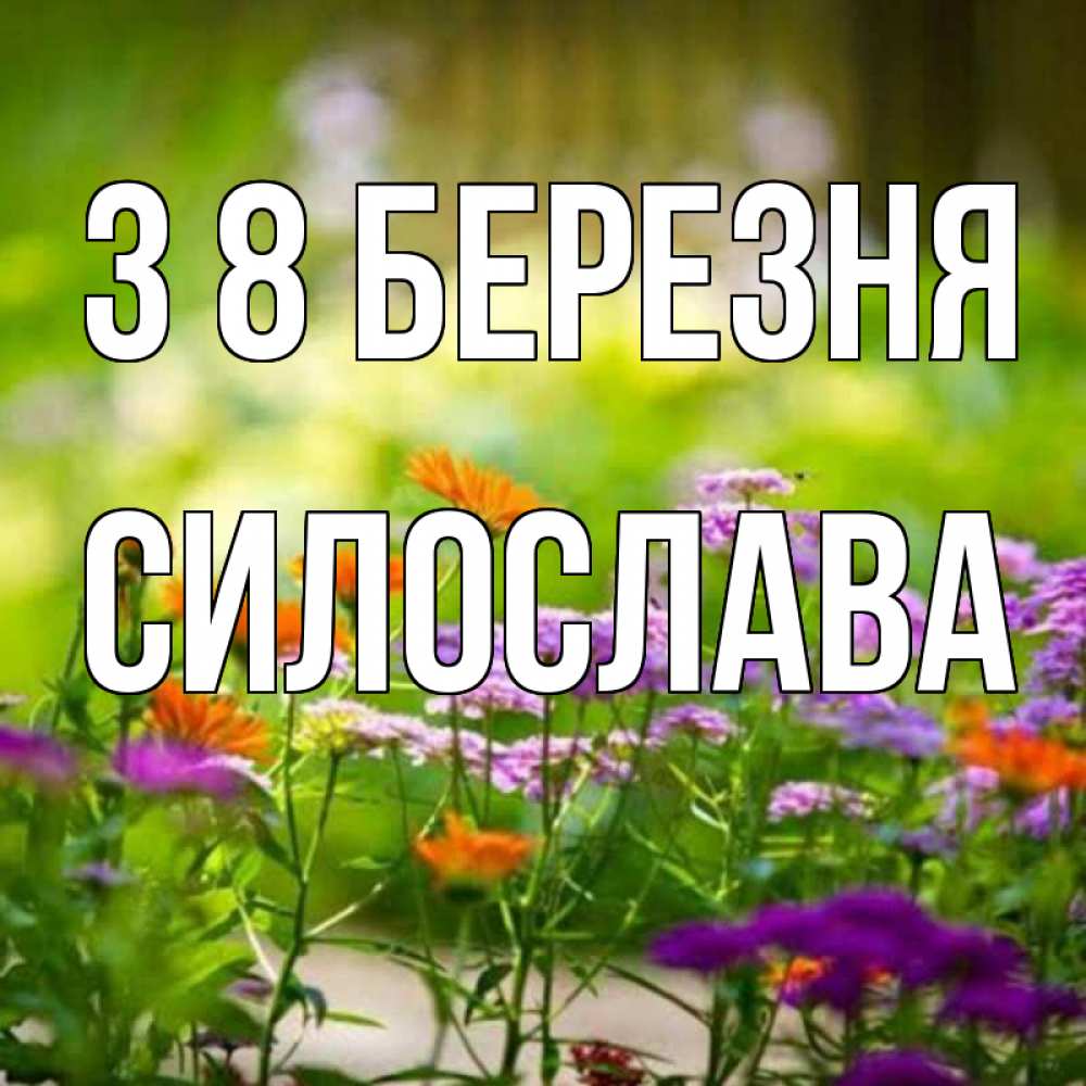Открытка на каждый день з підписом, Силослава З 8 БЕРЕЗНЯ цветы Прикольна листівка з побажанням онлайн скачати безкоштовно 