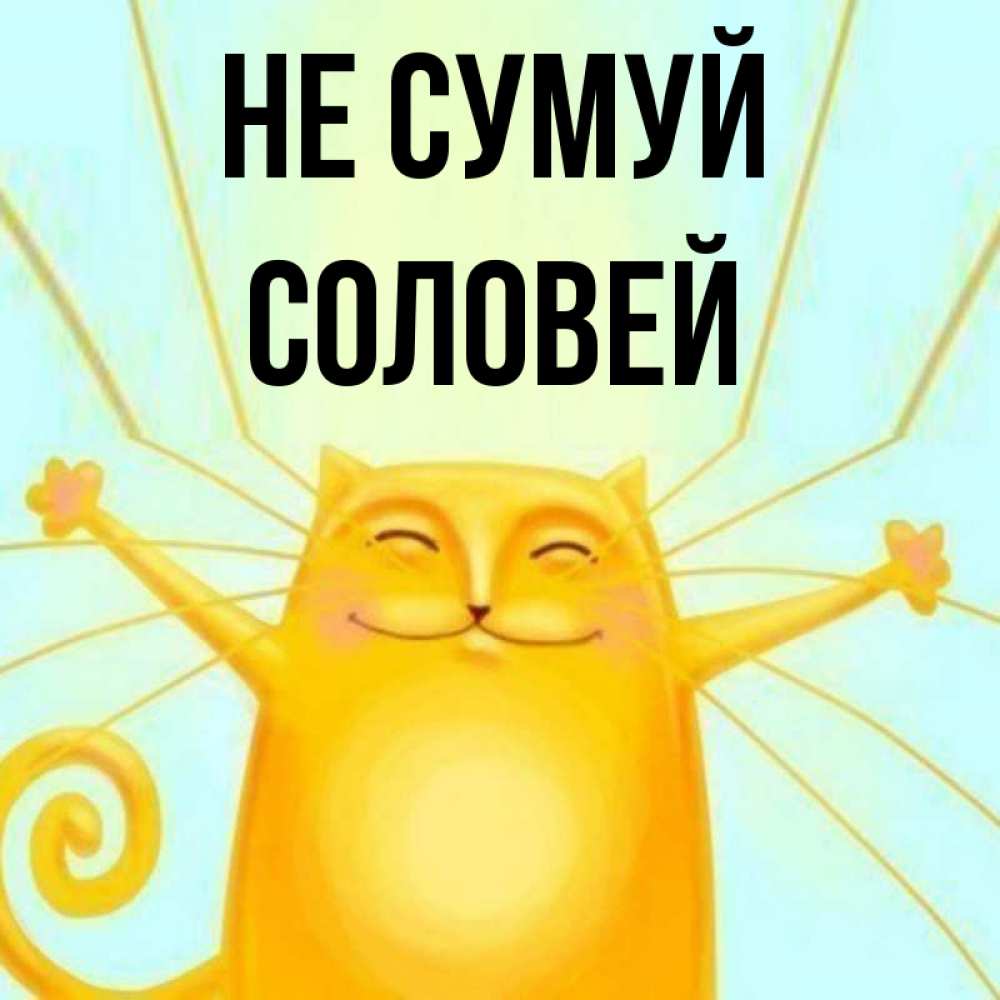 Открытка на каждый день з підписом, Соловей Не сумуй обнимашки усатые Прикольна листівка з побажанням онлайн скачати безкоштовно 
