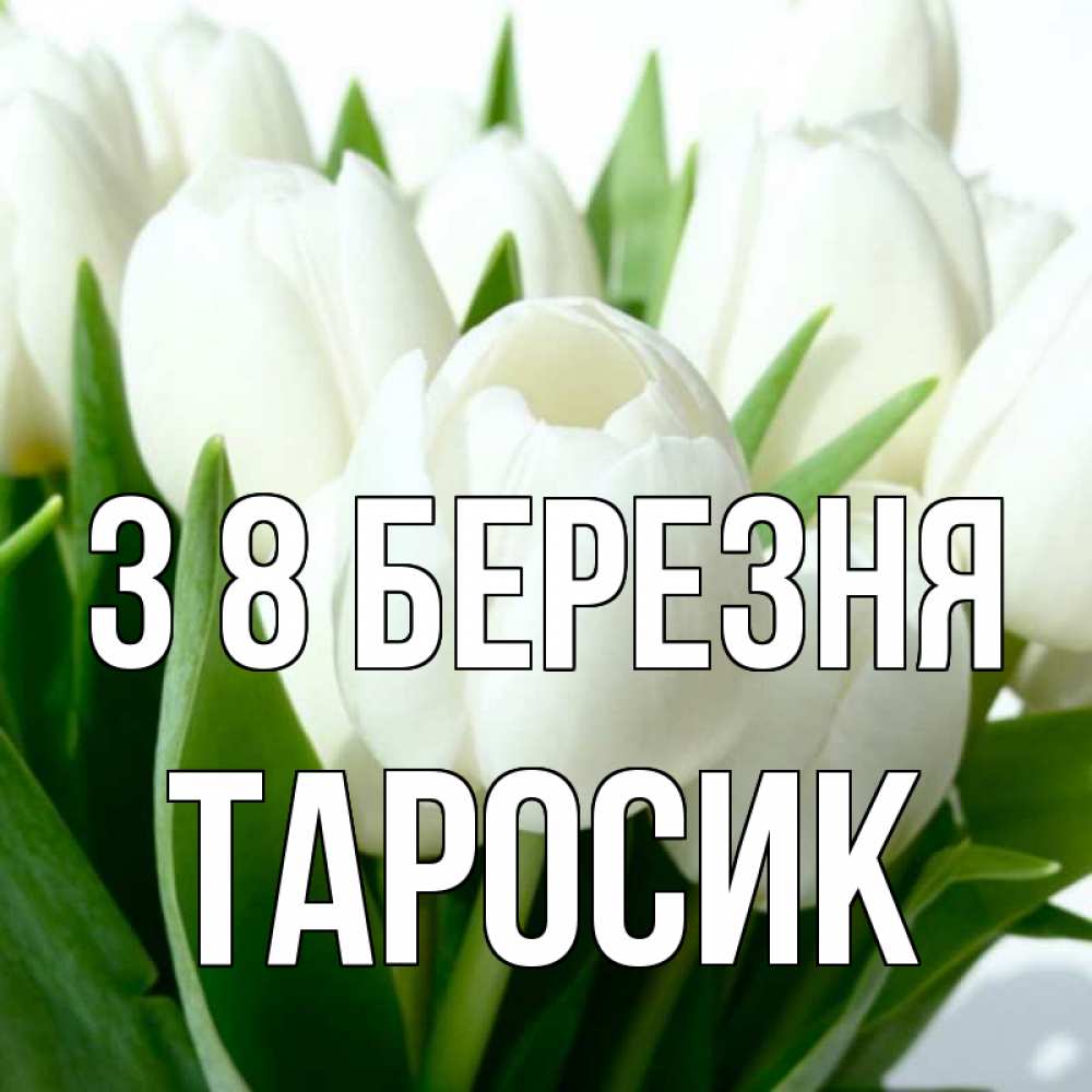 Открытка на каждый день з підписом, Таросик З 8 БЕРЕЗНЯ цветы Прикольна листівка з побажанням онлайн скачати безкоштовно 