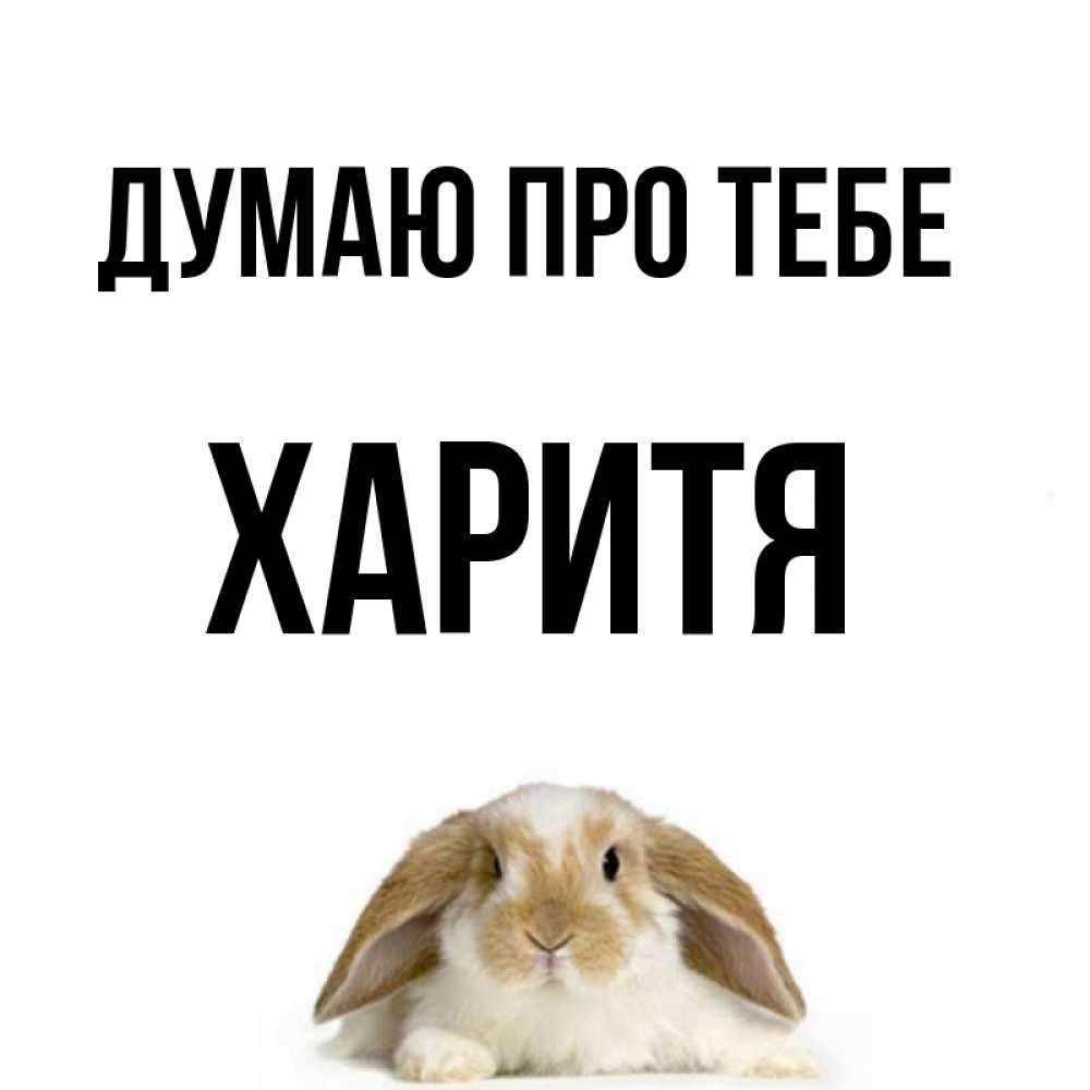 Открытка на каждый день з підписом, Харитя Думаю про тебе подписать своими руками онлайн Прикольна листівка з побажанням онлайн скачати безкоштовно 
