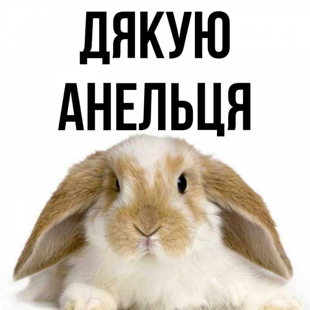 Открытка на каждый день з підписом, Анельця Дякую коричнево белый заяц Прикольна листівка з побажанням онлайн скачати безкоштовно 
