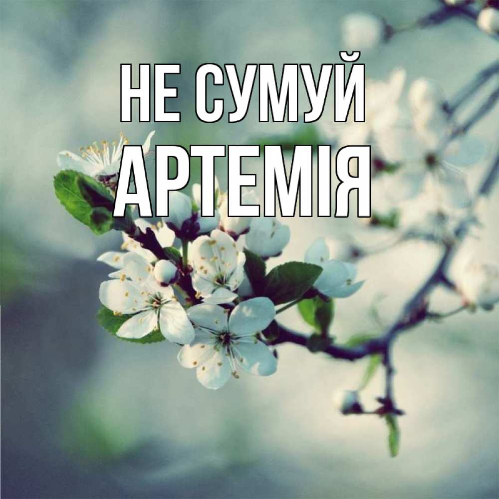 Открытка на каждый день з підписом, Артемія Не сумуй яблоня в цвету 1 Прикольна листівка з побажанням онлайн скачати безкоштовно 