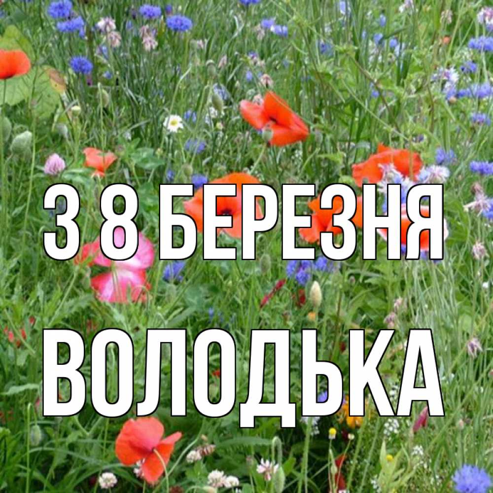 Открытка на каждый день з підписом, Володька З 8 БЕРЕЗНЯ международный женский день 4 Прикольна листівка з побажанням онлайн скачати безкоштовно 