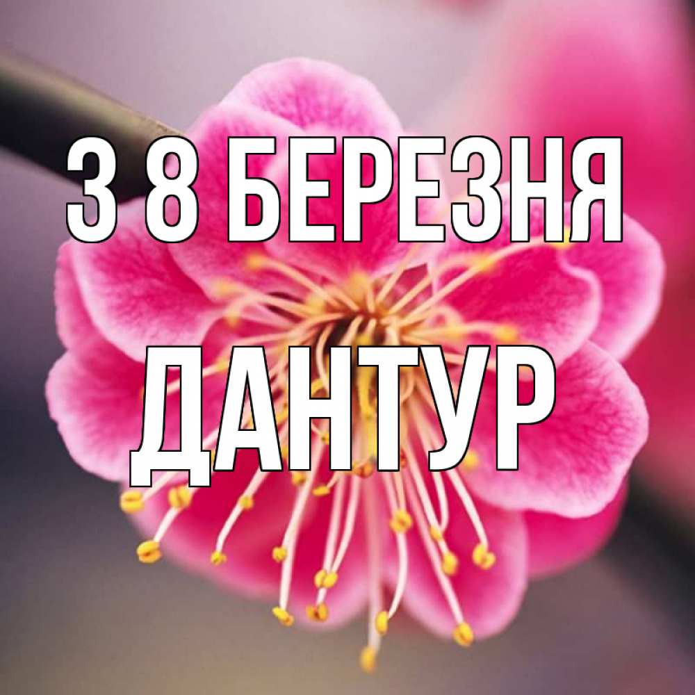 Открытка на каждый день з підписом, Дантур З 8 БЕРЕЗНЯ цветы Прикольна листівка з побажанням онлайн скачати безкоштовно 