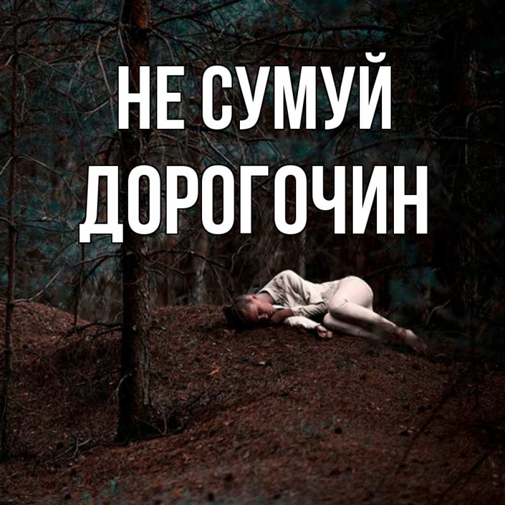 Открытка на каждый день з підписом, Дорогочин Не сумуй лес Прикольна листівка з побажанням онлайн скачати безкоштовно 