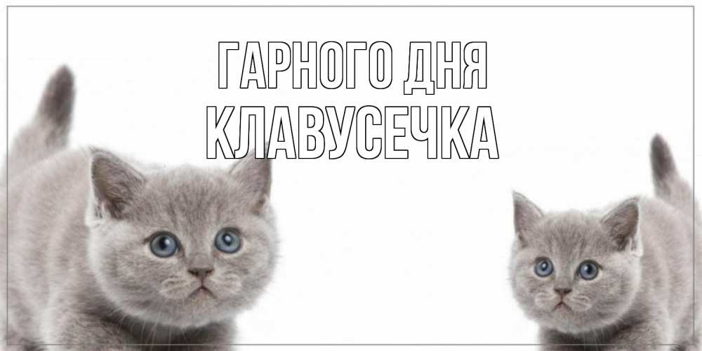 Открытка на каждый день з підписом, Клавусечка Гарного дня открытка с котами Прикольна листівка з побажанням онлайн скачати безкоштовно 