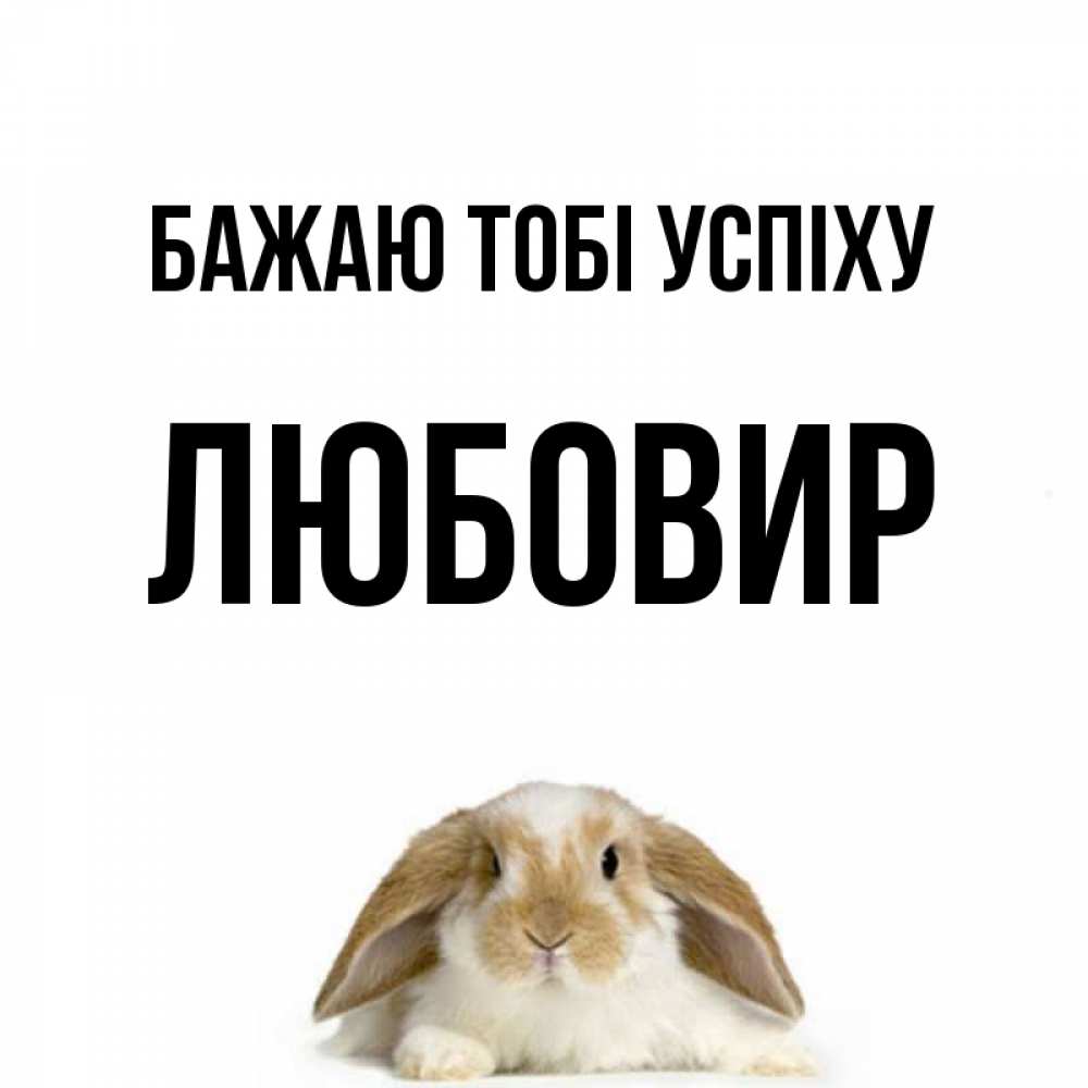 Открытка на каждый день з підписом, Любовир Бажаю тобі успіху открытки с произвольным текстом который можно вставить в открытку и создать ее самостоятельно бесплатно онлайн Прикольна листівка з побажанням онлайн скачати безкоштовно 