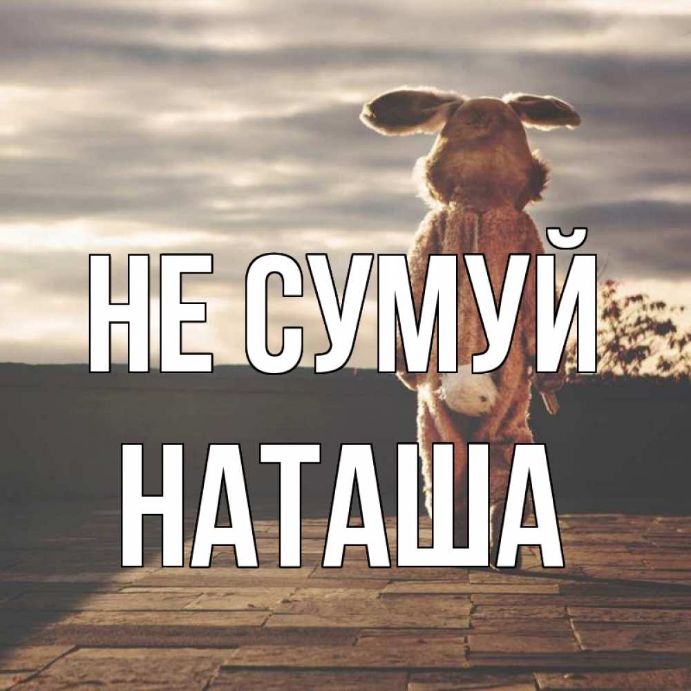 Открытка на каждый день з підписом, Наташа Не сумуй со спины Прикольна листівка з побажанням онлайн скачати безкоштовно 