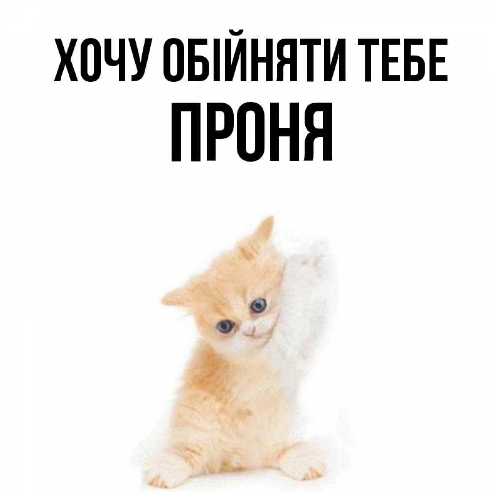 Открытка на каждый день з підписом, Проня Хочу обійняти тебе я хочу очень скорее обнимаешек Прикольна листівка з побажанням онлайн скачати безкоштовно 