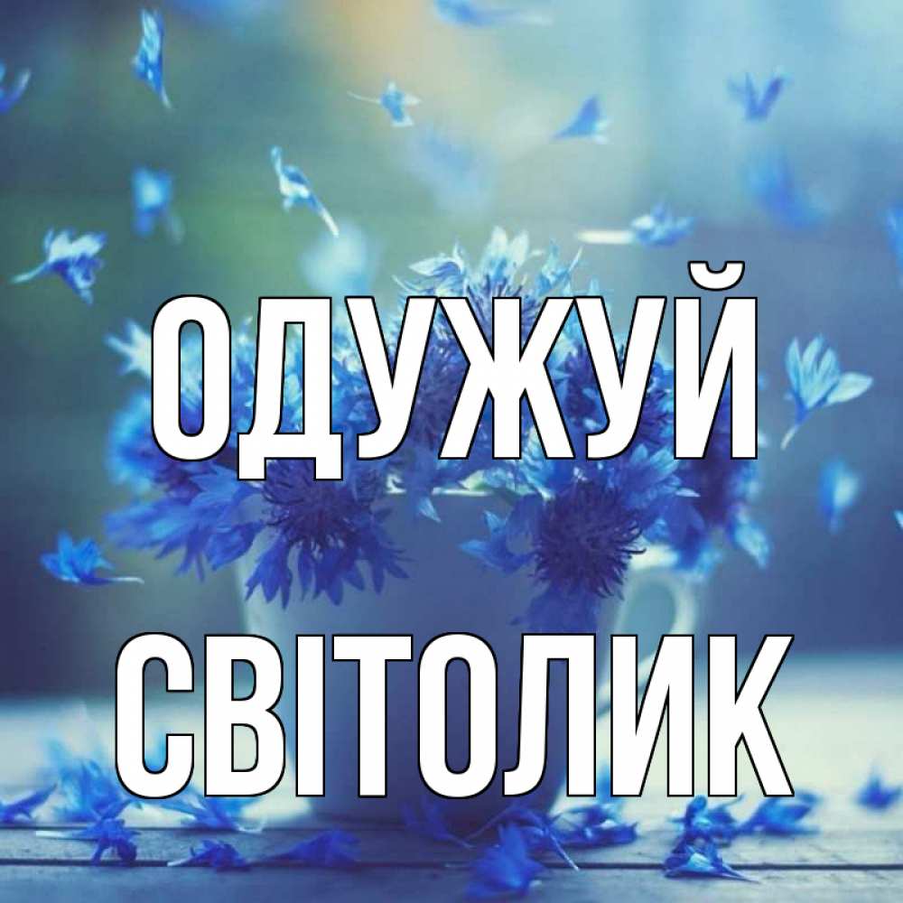Открытка на каждый день з підписом, Світолик Одужуй кружка с зельем и цветами Прикольна листівка з побажанням онлайн скачати безкоштовно 