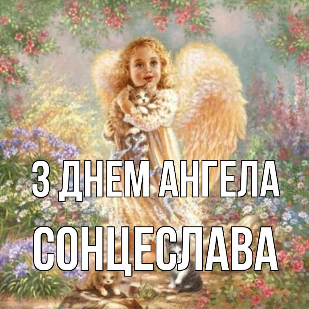 Открытка на каждый день з підписом, Сонцеслава З Днем ангела держит котенка Прикольна листівка з побажанням онлайн скачати безкоштовно 