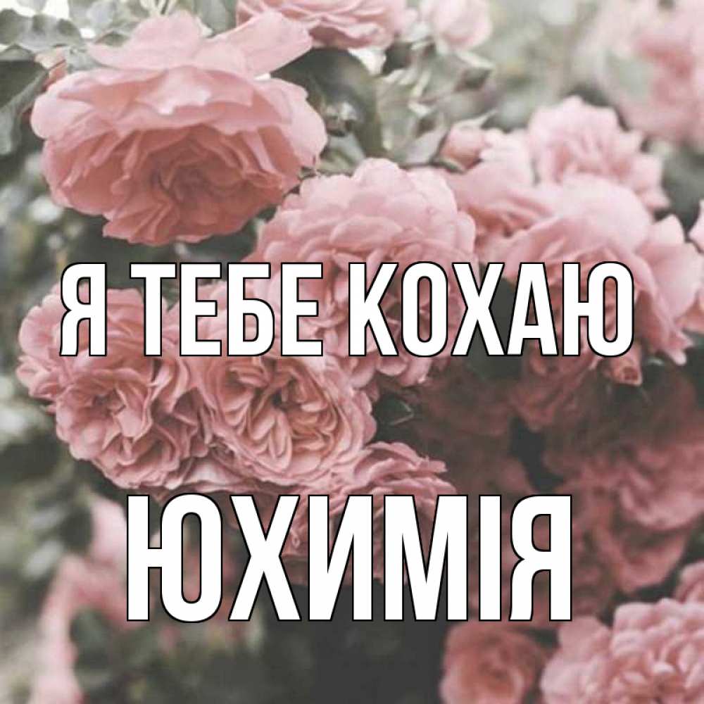 Открытка на каждый день з підписом, Юхимія Я тебе кохаю розы 3 Прикольна листівка з побажанням онлайн скачати безкоштовно 