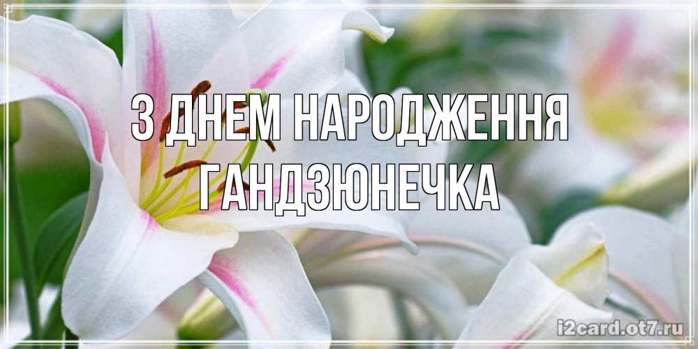 Открытка на каждый день з підписом, Гандзюнечка З Днем народження открытка с белой лилией Прикольна листівка з побажанням онлайн скачати безкоштовно 