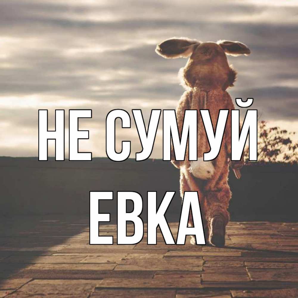 Открытка на каждый день з підписом, Евка Не сумуй со спины Прикольна листівка з побажанням онлайн скачати безкоштовно 