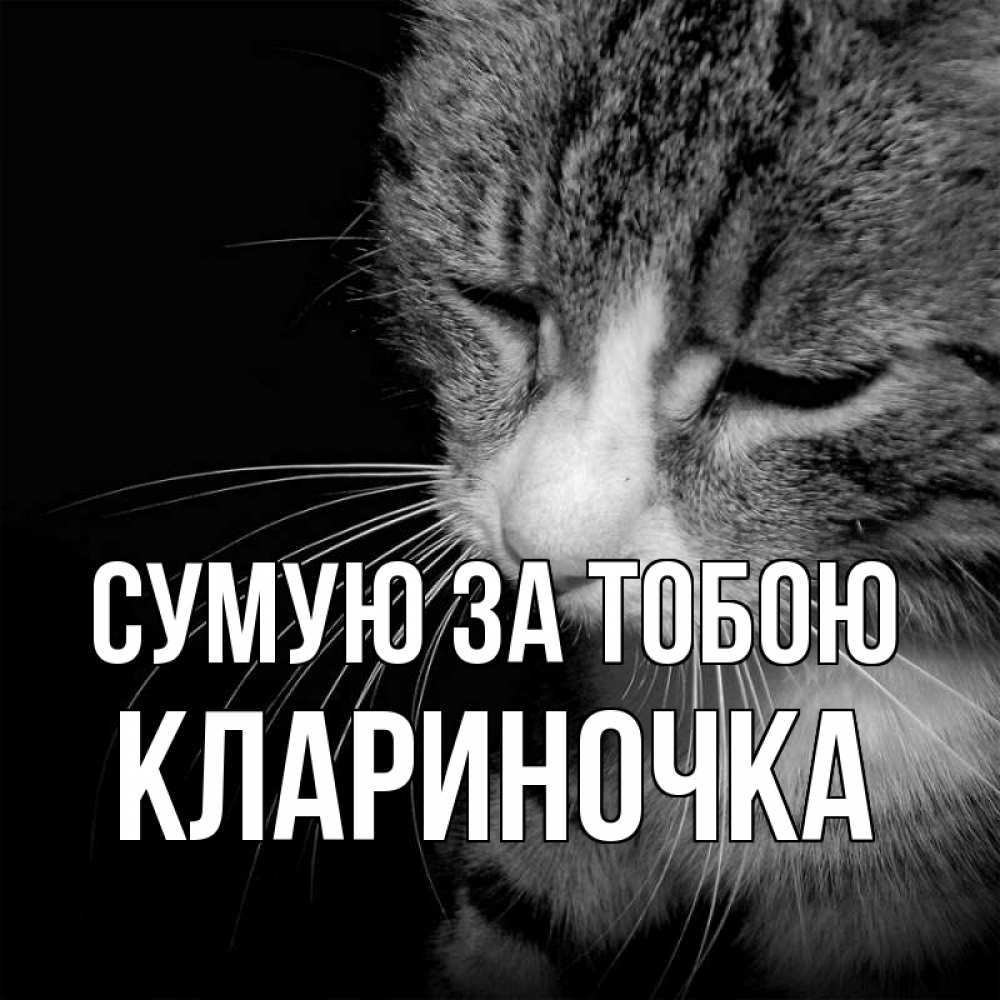 Открытка на каждый день з підписом, Клариночка Сумую за тобою мне скучно Прикольна листівка з побажанням онлайн скачати безкоштовно 