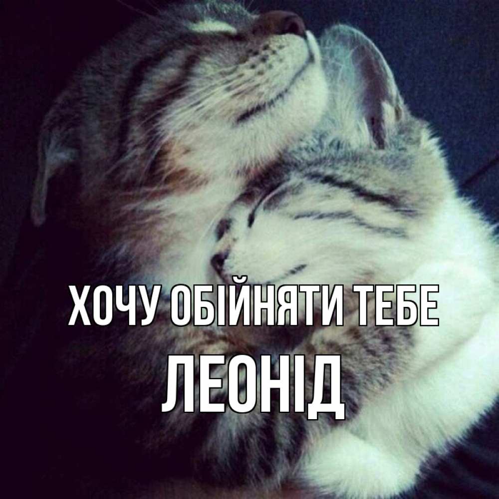 Открытка на каждый день з підписом, Леонід Хочу обійняти тебе полосатики Прикольна листівка з побажанням онлайн скачати безкоштовно 