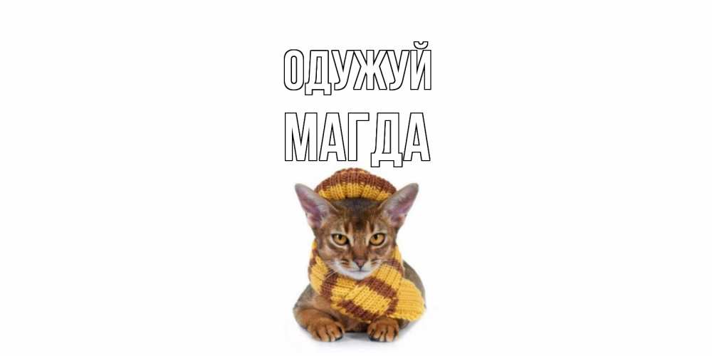 Открытка на каждый день з підписом, Магда Одужуй родные не болейте Прикольна листівка з побажанням онлайн скачати безкоштовно 