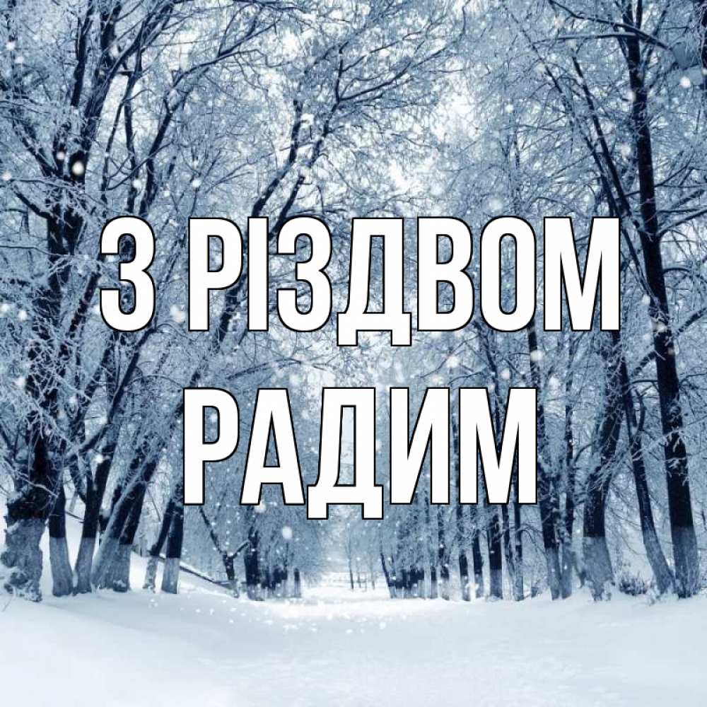 Открытка на каждый день з підписом, Радим З Різдвом снег, лес, парк Прикольна листівка з побажанням онлайн скачати безкоштовно 