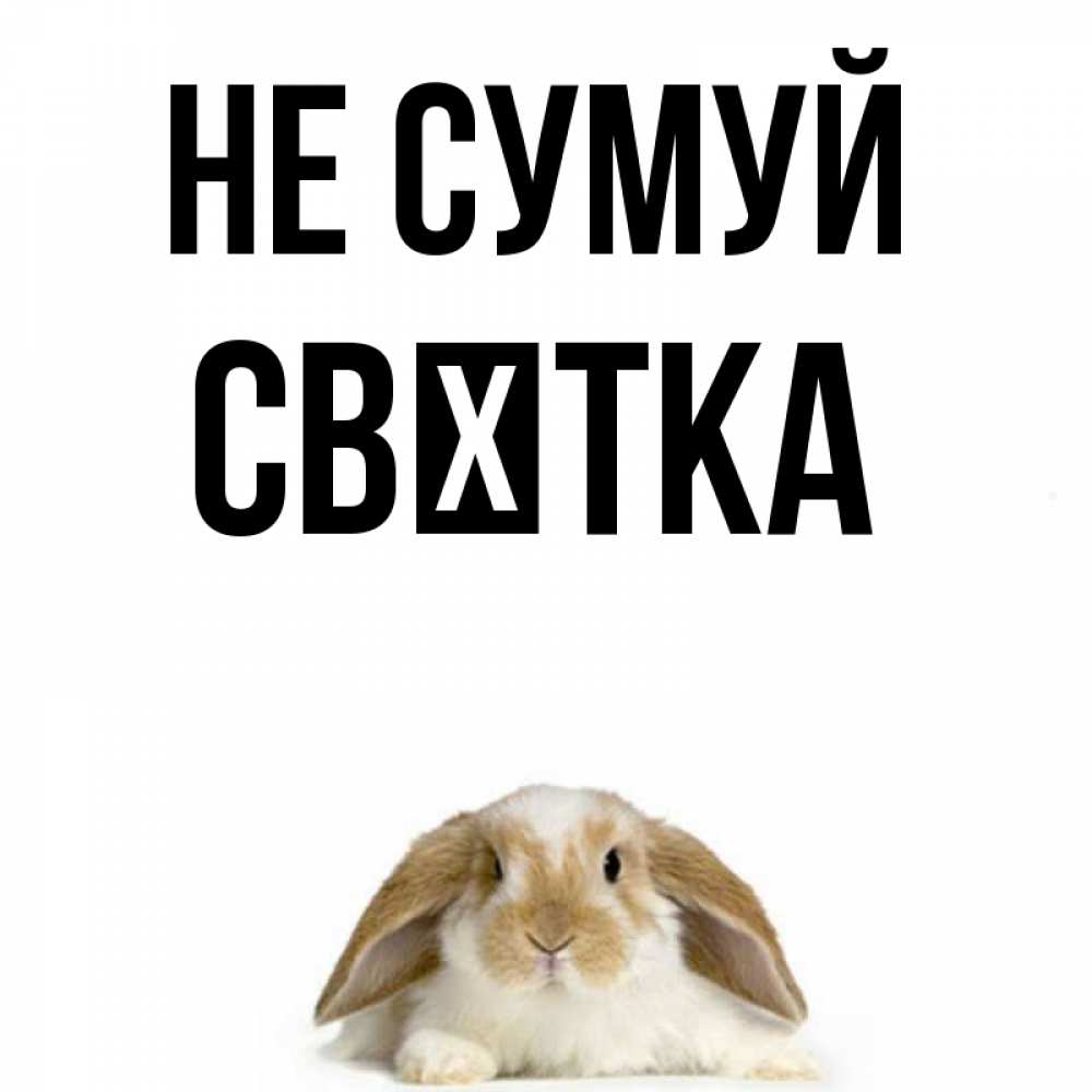 Открытка на каждый день з підписом, Свєтка Не сумуй коричнево белый заяц с большими ушками Прикольна листівка з побажанням онлайн скачати безкоштовно 