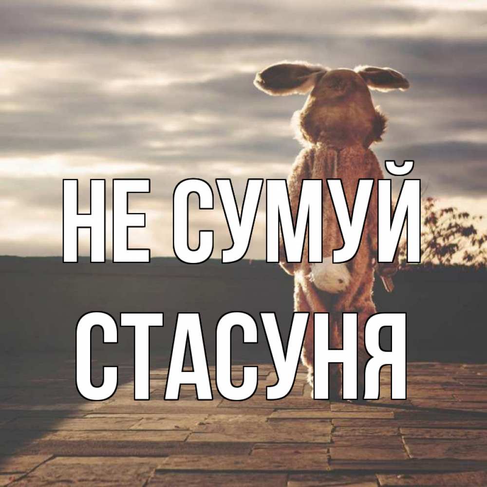 Открытка на каждый день з підписом, Стасуня Не сумуй со спины Прикольна листівка з побажанням онлайн скачати безкоштовно 