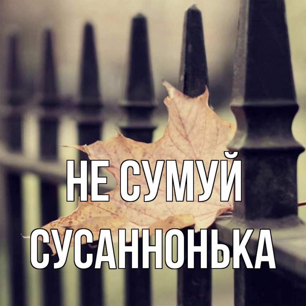 Открытка на каждый день з підписом, Сусаннонька Не сумуй лист клена Прикольна листівка з побажанням онлайн скачати безкоштовно 