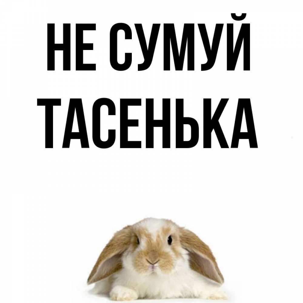 Открытка на каждый день з підписом, Тасенька Не сумуй коричнево белый заяц с большими ушками Прикольна листівка з побажанням онлайн скачати безкоштовно 