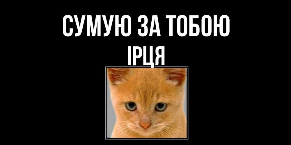 Открытка на каждый день з підписом, Ірця Сумую за тобою открытки рыжий котенок скучает по тебе Прикольна листівка з побажанням онлайн скачати безкоштовно 