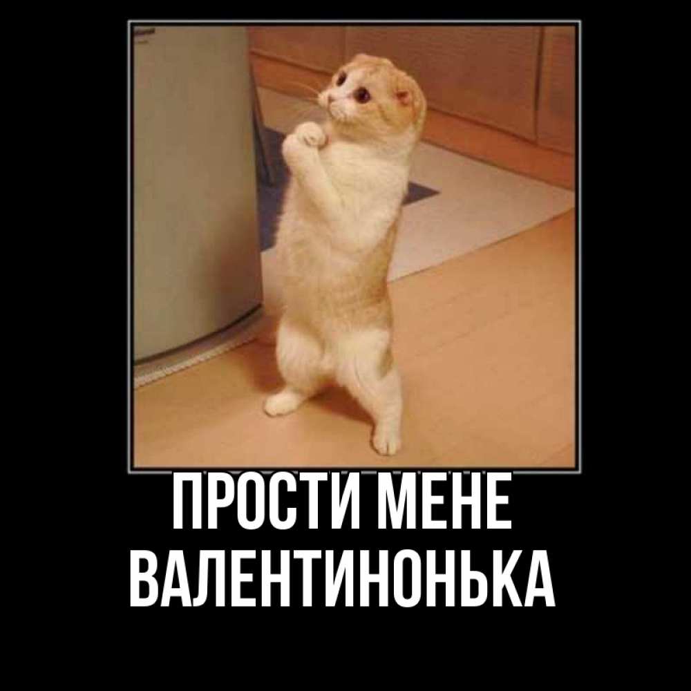 Открытка на каждый день з підписом, Валентинонька Прости мене открытка с милым несчастным котиком просящим прощения Прикольна листівка з побажанням онлайн скачати безкоштовно 