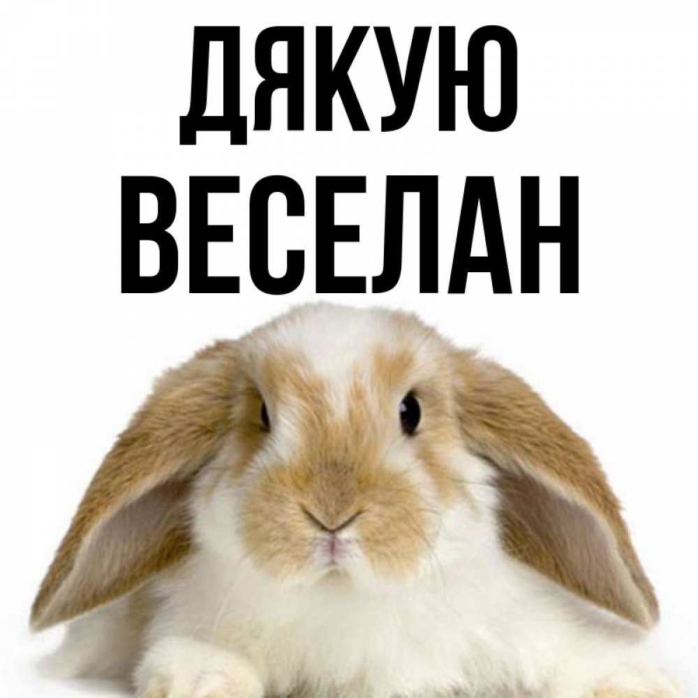 Открытка на каждый день з підписом, Веселан Дякую коричнево белый заяц Прикольна листівка з побажанням онлайн скачати безкоштовно 