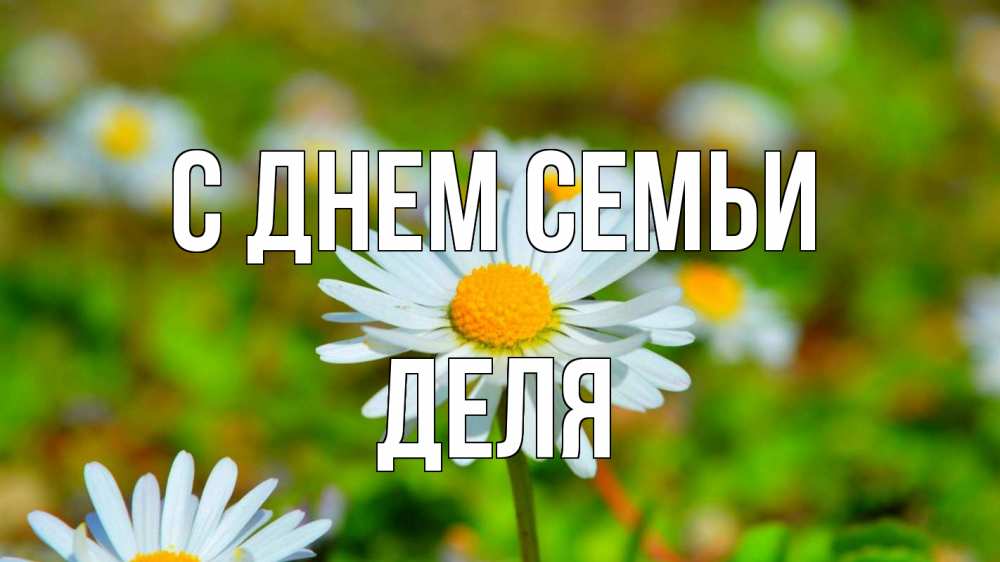 Открытка на каждый день з підписом, Деля С днем семьи с днем семьи Прикольна листівка з побажанням онлайн скачати безкоштовно 