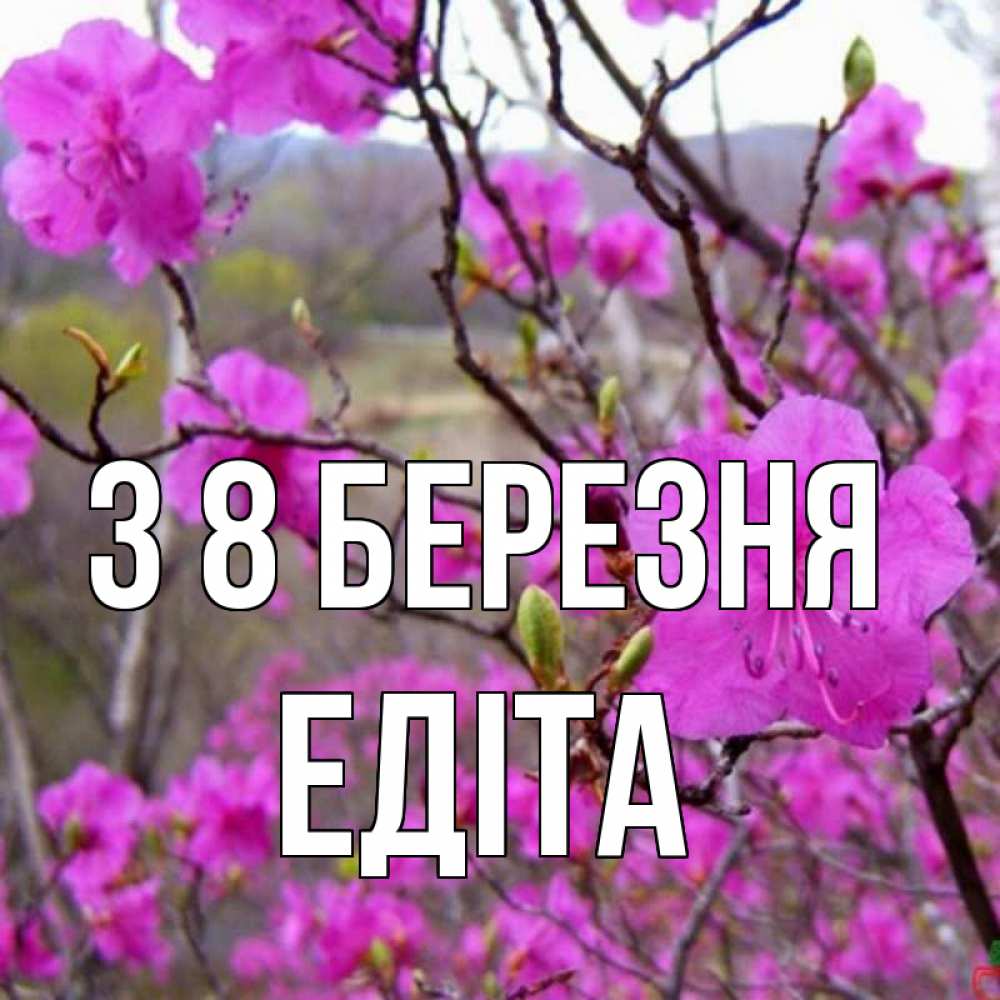 Открытка на каждый день з підписом, Едіта З 8 БЕРЕЗНЯ международный женский день Прикольна листівка з побажанням онлайн скачати безкоштовно 