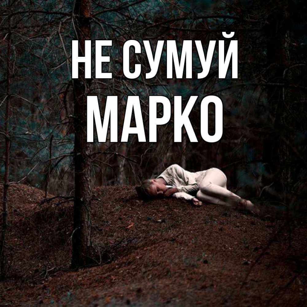 Открытка на каждый день з підписом, Марко Не сумуй лес Прикольна листівка з побажанням онлайн скачати безкоштовно 