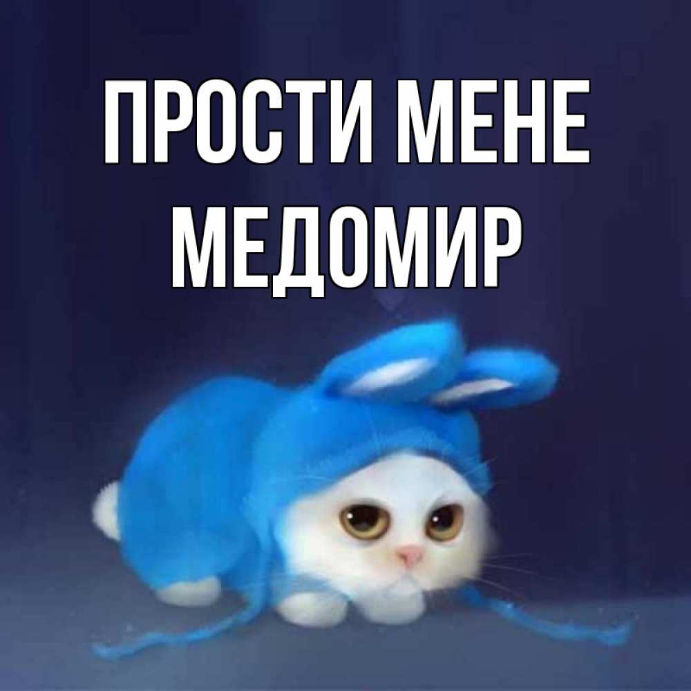 Открытка на каждый день з підписом, Медомир Прости мене невинный котозай просит прощения Прикольна листівка з побажанням онлайн скачати безкоштовно 