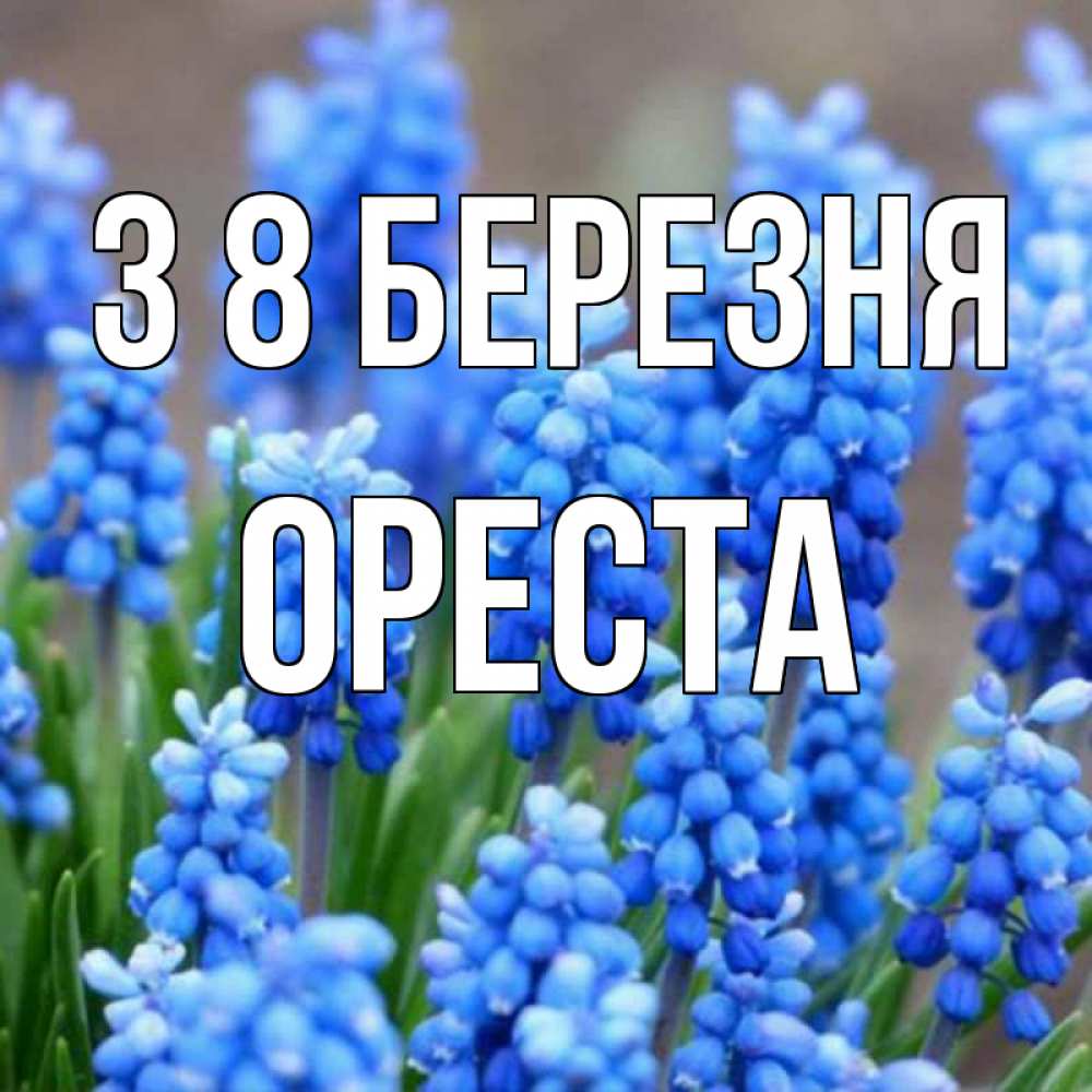 Открытка на каждый день з підписом, Ореста З 8 БЕРЕЗНЯ Поздравительная открытка для женщин с цветами на праздничную дату Прикольна листівка з побажанням онлайн скачати безкоштовно 
