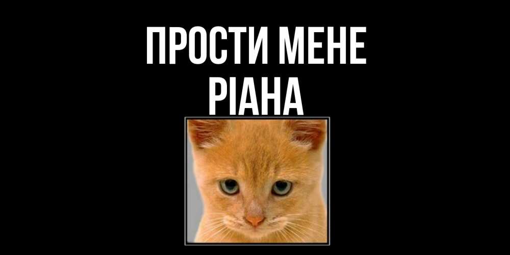 Открытка на каждый день з підписом, Ріана Прости мене рыжий грустный кот просит прощения Прикольна листівка з побажанням онлайн скачати безкоштовно 