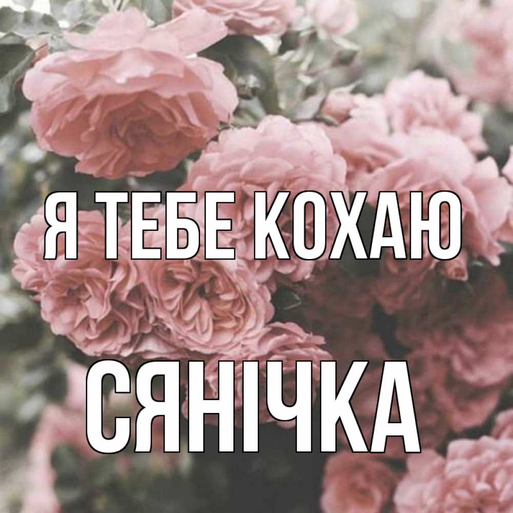 Открытка на каждый день з підписом, Сянічка Я тебе кохаю розы 3 Прикольна листівка з побажанням онлайн скачати безкоштовно 