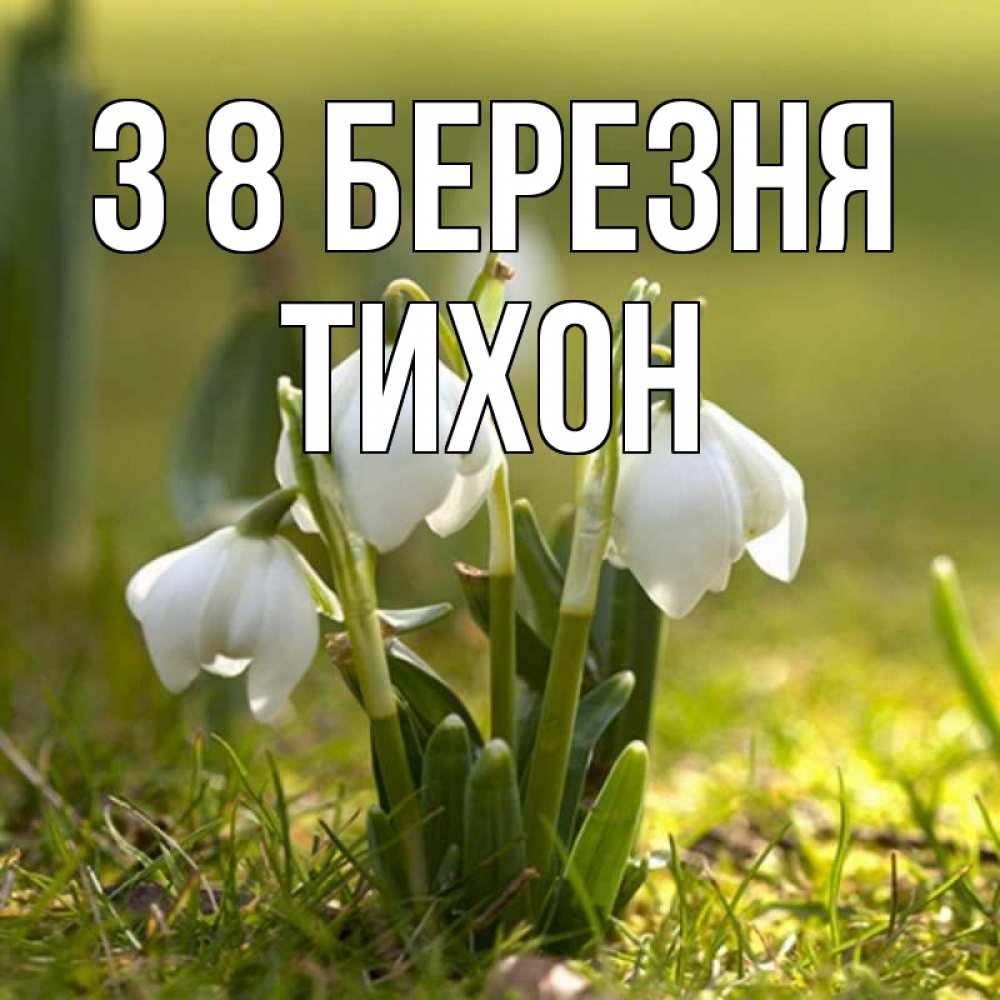 Открытка на каждый день з підписом, Тихон З 8 БЕРЕЗНЯ ранние цветы 2 Прикольна листівка з побажанням онлайн скачати безкоштовно 