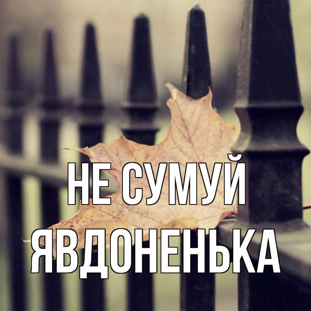 Открытка на каждый день з підписом, Явдоненька Не сумуй лист клена Прикольна листівка з побажанням онлайн скачати безкоштовно 