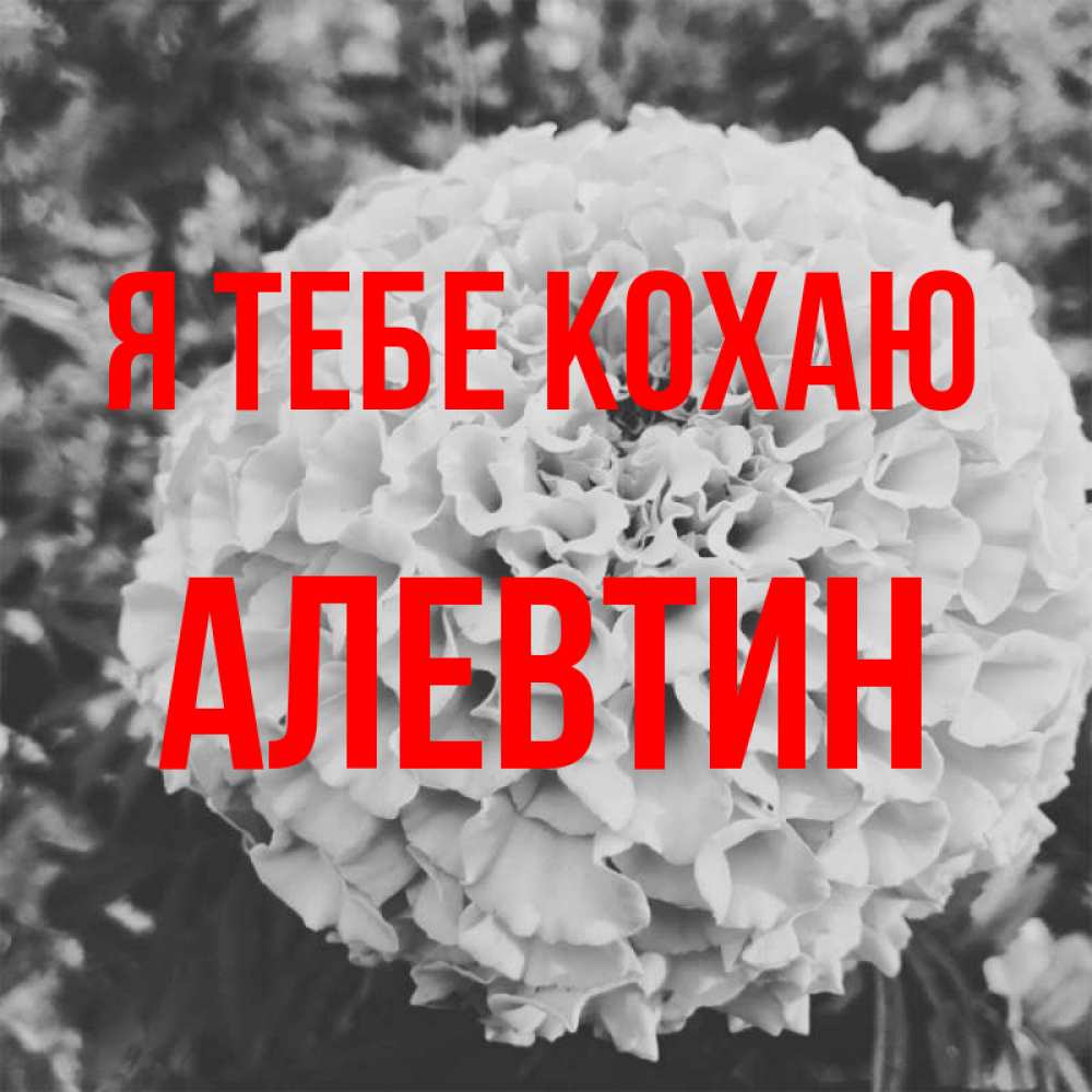 Открытка на каждый день з підписом, Алевтин Я тебе кохаю подпись Прикольна листівка з побажанням онлайн скачати безкоштовно 