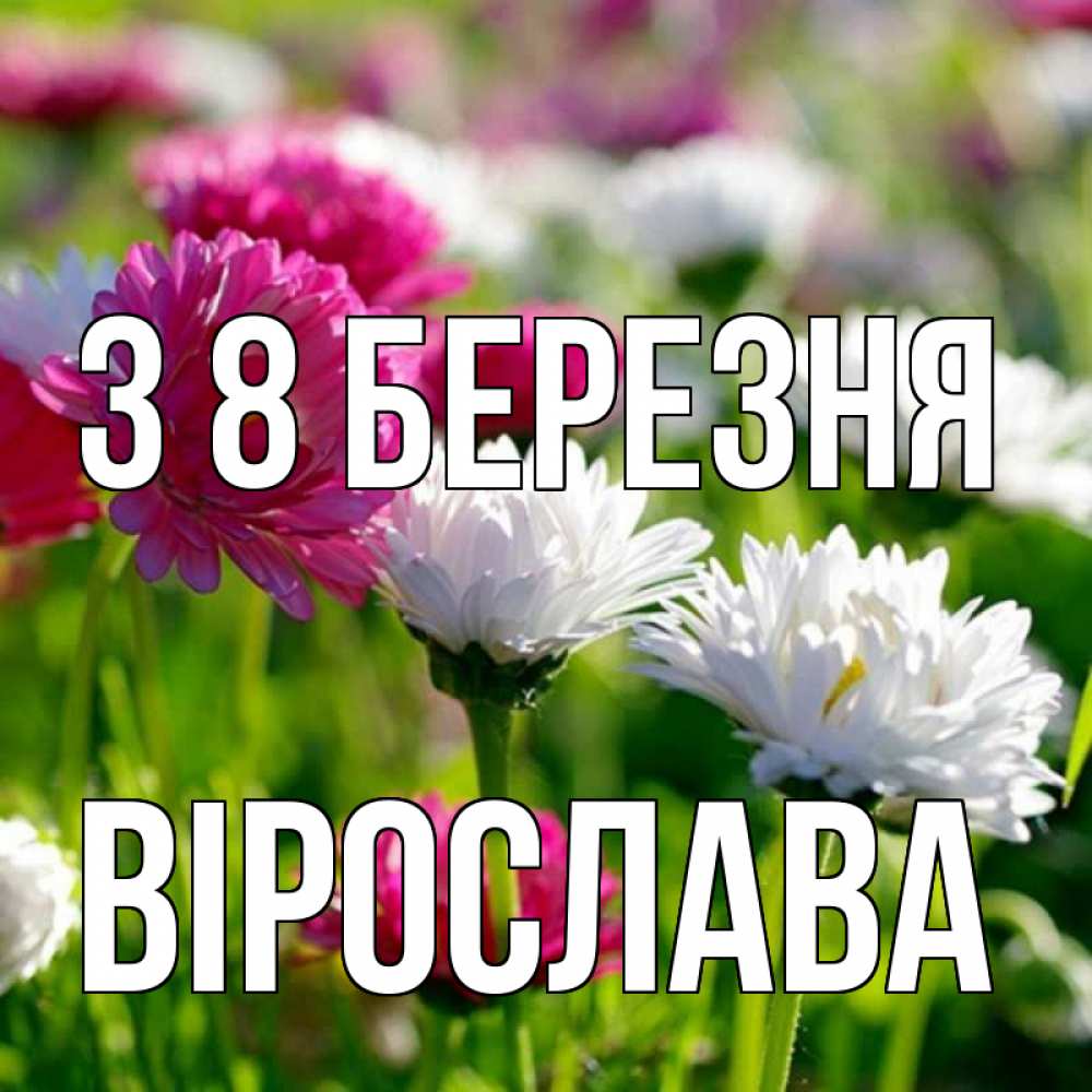 Открытка на каждый день з підписом, Вірослава З 8 БЕРЕЗНЯ международный женский день 1 Прикольна листівка з побажанням онлайн скачати безкоштовно 