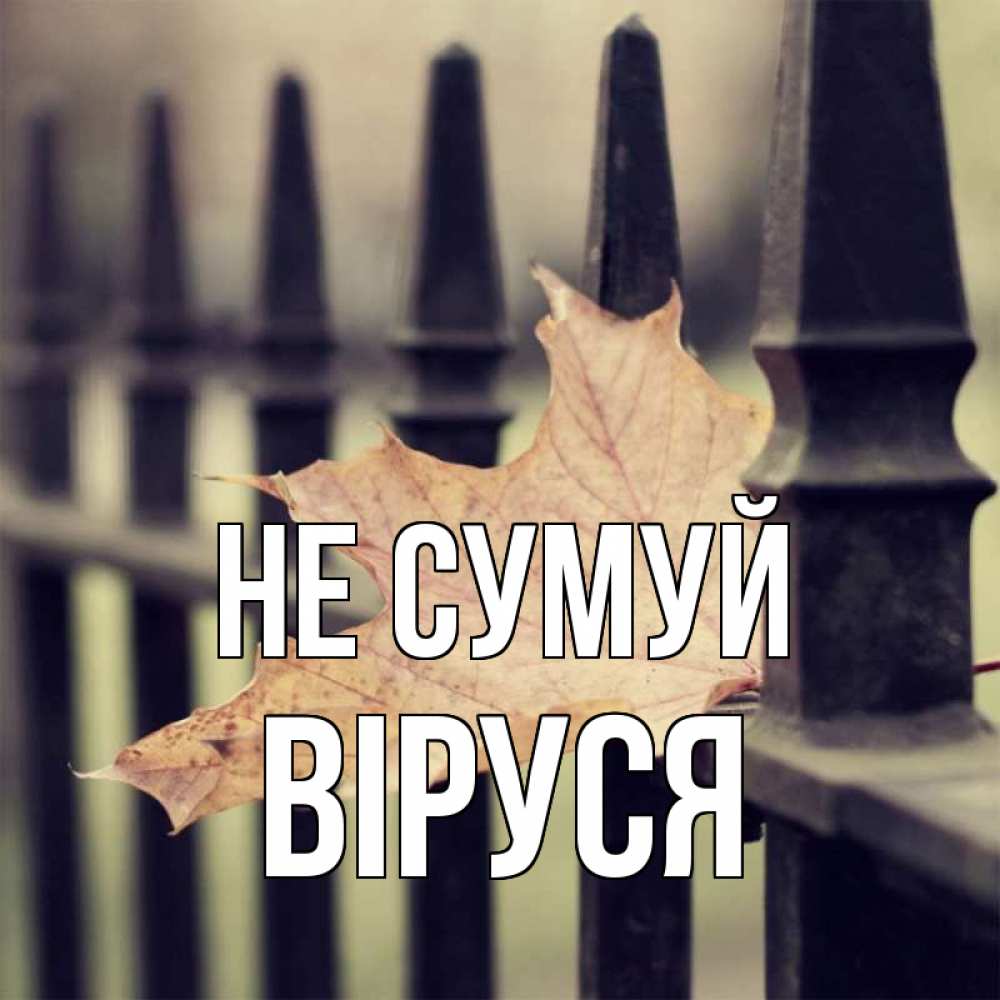 Открытка на каждый день з підписом, Віруся Не сумуй лист клена Прикольна листівка з побажанням онлайн скачати безкоштовно 