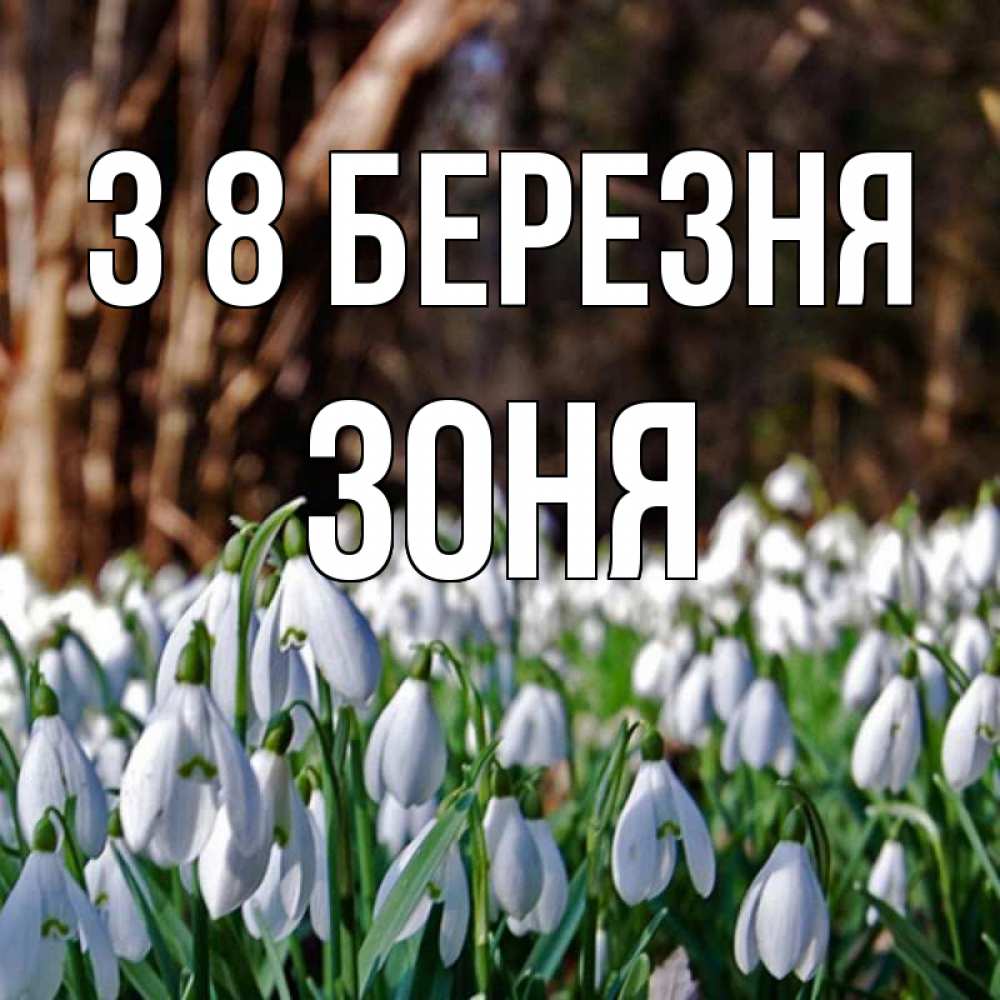 Открытка на каждый день з підписом, Зоня З 8 БЕРЕЗНЯ с подснежниками 1 Прикольна листівка з побажанням онлайн скачати безкоштовно 
