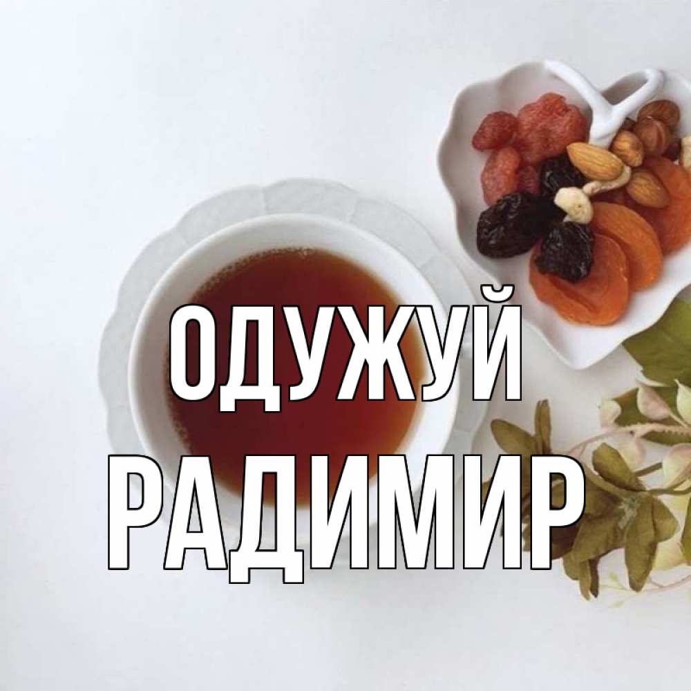 Открытка на каждый день з підписом, Радимир Одужуй неизвестные растения Прикольна листівка з побажанням онлайн скачати безкоштовно 