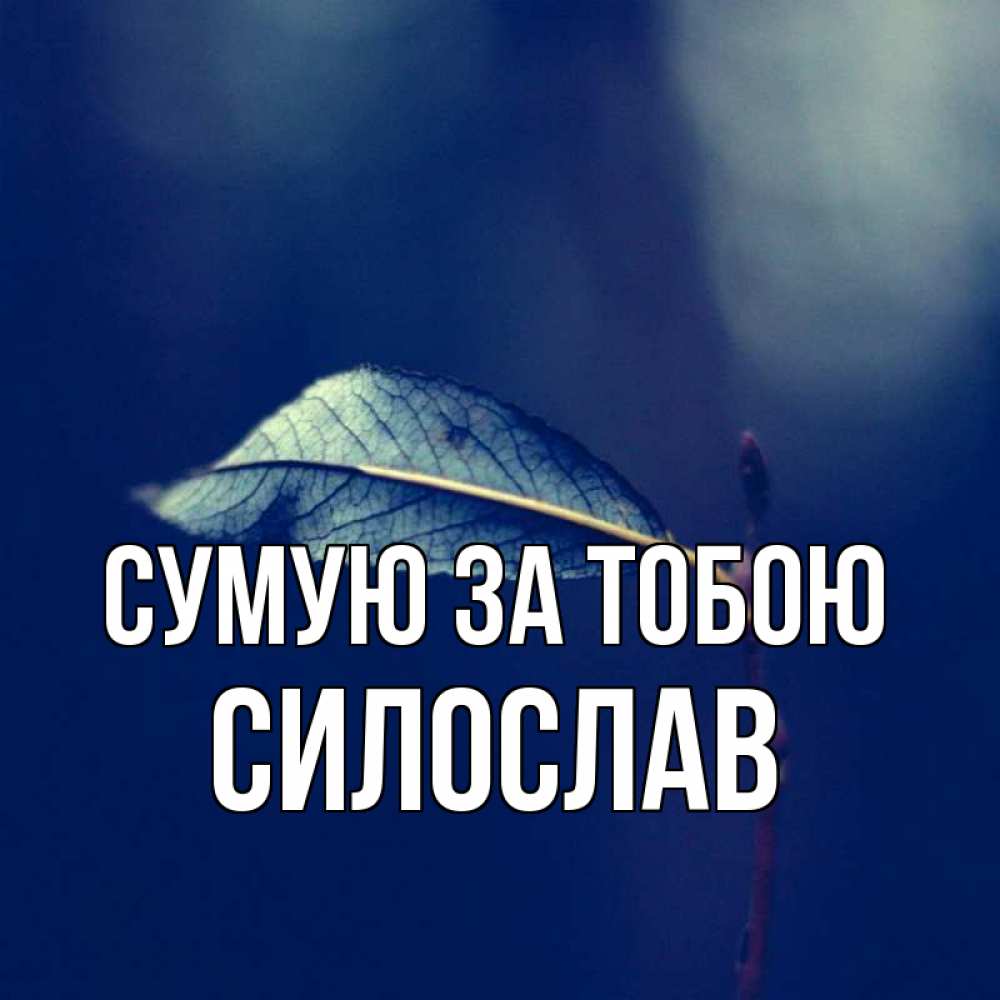 Открытка на каждый день з підписом, Силослав Сумую за тобою одна ветка 1 Прикольна листівка з побажанням онлайн скачати безкоштовно 
