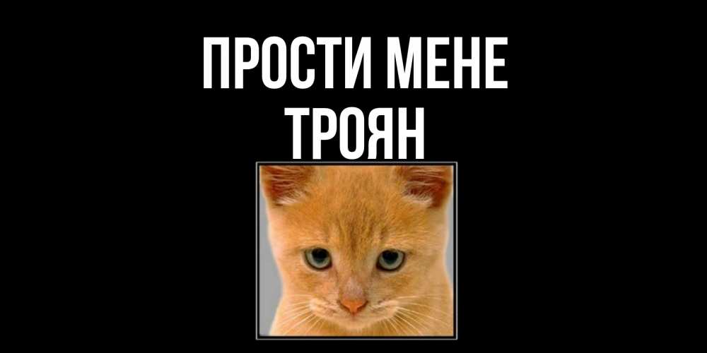 Открытка на каждый день з підписом, Троян Прости мене рыжий грустный кот просит прощения Прикольна листівка з побажанням онлайн скачати безкоштовно 
