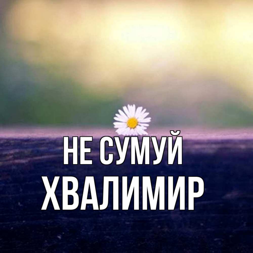 Открытка на каждый день з підписом, Хвалимир Не сумуй красота Прикольна листівка з побажанням онлайн скачати безкоштовно 