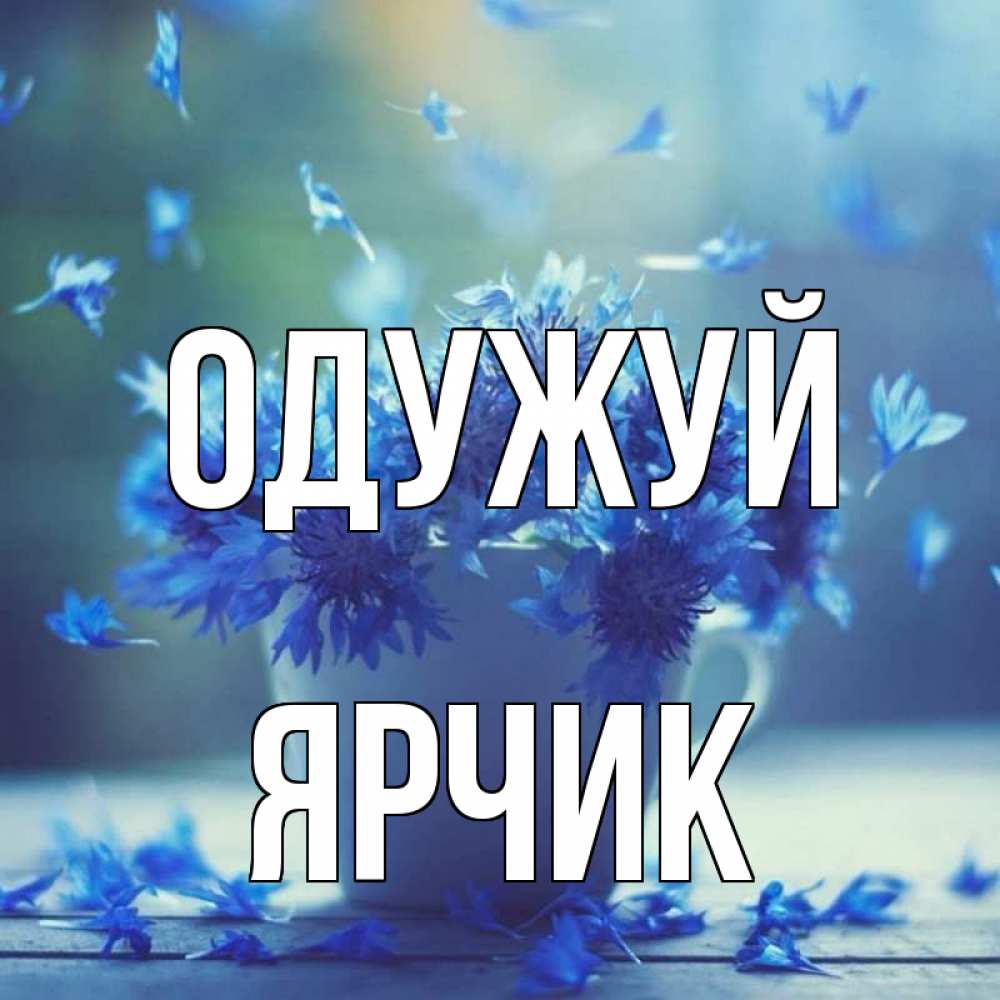 Открытка на каждый день з підписом, Ярчик Одужуй кружка с зельем и цветами Прикольна листівка з побажанням онлайн скачати безкоштовно 