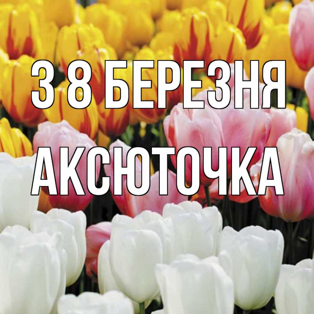 Открытка на каждый день з підписом, Аксюточка З 8 БЕРЕЗНЯ разноцветные цветы Прикольна листівка з побажанням онлайн скачати безкоштовно 
