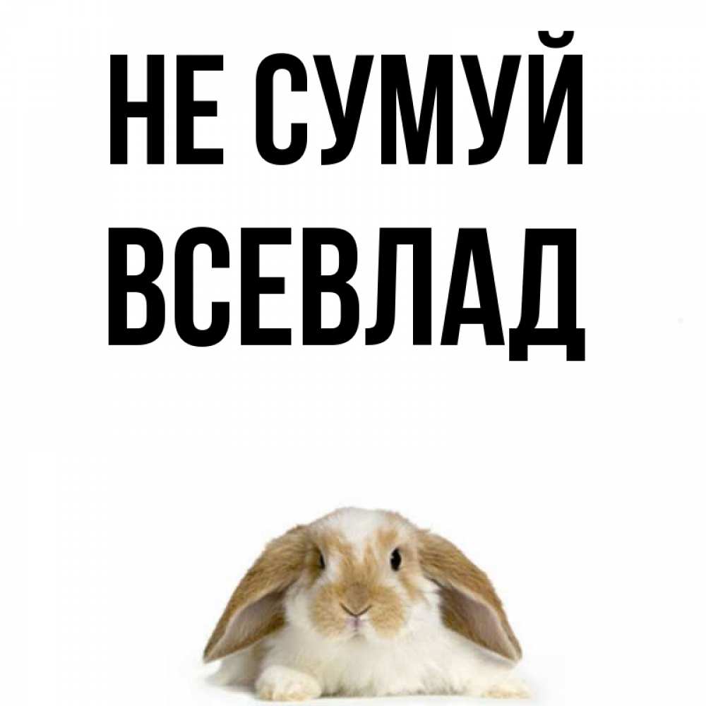 Открытка на каждый день з підписом, Всевлад Не сумуй коричнево белый заяц с большими ушками Прикольна листівка з побажанням онлайн скачати безкоштовно 